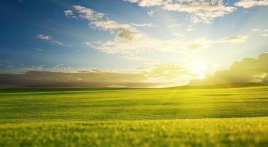 一望无垠的意思是什么