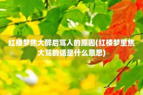 红楼梦焦大醉后骂人的原因(红楼梦里焦大骂的话是什么意思)