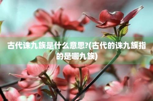 古代诛九族是什么意思?(古代的诛九族指的是哪九族)