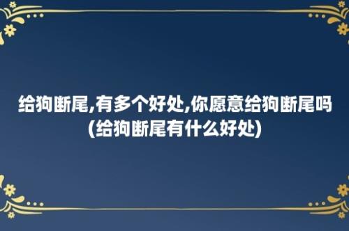 给狗断尾,有多个好处,你愿意给狗断尾吗(给狗断尾有什么好处)