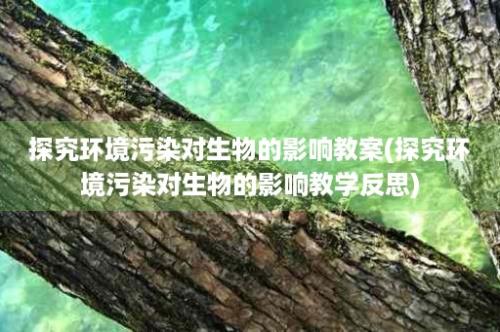 探究环境污染对生物的影响教案(探究环境污染对生物的影响教学反思)