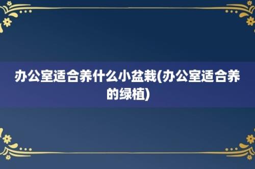 办公室适合养什么小盆栽(办公室适合养的绿植)