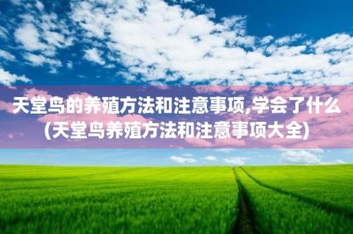 天堂鸟的养殖方法和注意事项,学会了什么(天堂鸟养殖方法和注意事项大全)