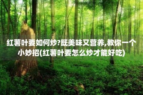 红薯叶要如何炒?既美味又营养,教你一个小妙招(红薯叶要怎么炒才能好吃)