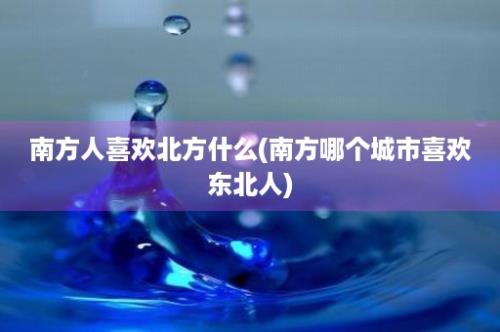 南方人喜欢北方什么(南方哪个城市喜欢东北人)