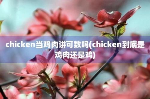 chicken当鸡肉讲可数吗(chicken到底是鸡肉还是鸡)