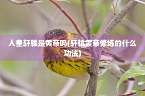 人皇轩辕是黄帝吗(轩辕黄帝修炼的什么功法)