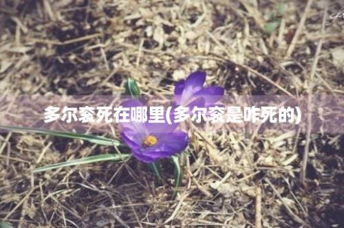 多尔衮死在哪里(多尔衮是咋死的)