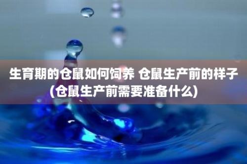 生育期的仓鼠如何饲养 仓鼠生产前的样子(仓鼠生产前需要准备什么)