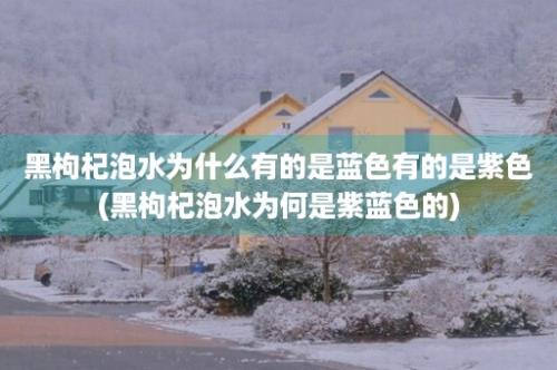 黑枸杞泡水为什么有的是蓝色有的是紫色(黑枸杞泡水为何是紫蓝色的)