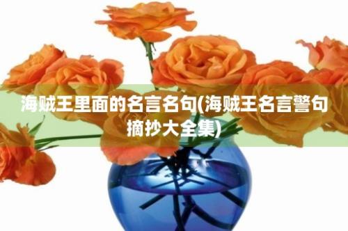 海贼王里面的名言名句(海贼王名言警句摘抄大全集)