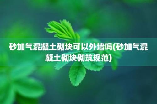 砂加气混凝土砌块可以外墙吗(砂加气混凝土砌块砌筑规范)