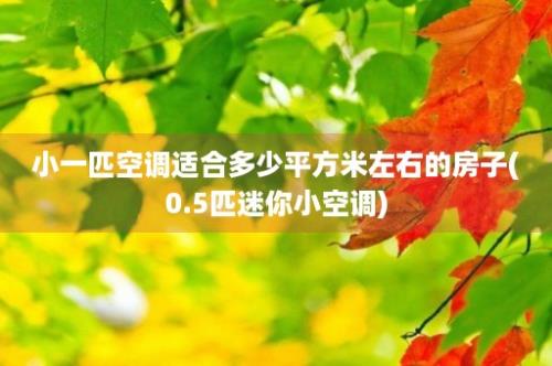 小一匹空调适合多少平方米左右的房子(0.5匹迷你小空调)