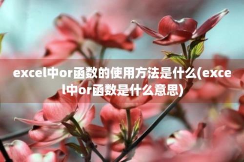 excel中or函数的使用方法是什么(excel中or函数是什么意思)