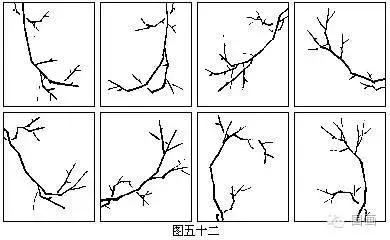 国画初学者入门步骤画梅花（大家一起学学国画梅花的各种画法）(39)