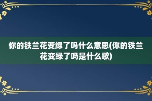 你的铁兰花变绿了吗什么意思(你的铁兰花变绿了吗是什么歌)