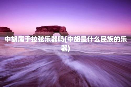 中胡属于拉弦乐器吗(中胡是什么民族的乐器)