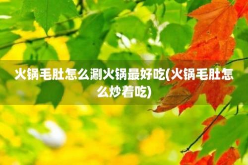 火锅毛肚怎么涮火锅最好吃(火锅毛肚怎么炒着吃)