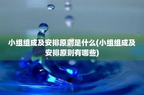 小组组成及安排原则是什么(小组组成及安排原则有哪些)