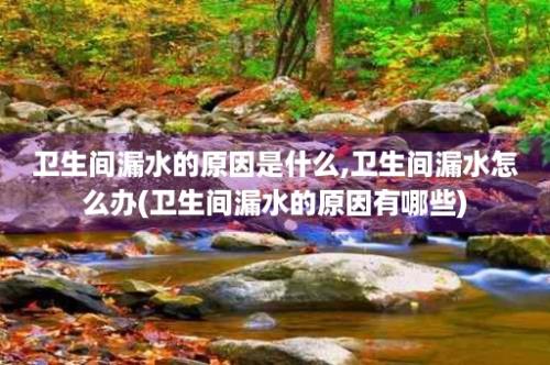 卫生间漏水的原因是什么,卫生间漏水怎么办(卫生间漏水的原因有哪些)