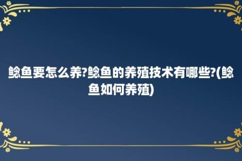 鲶鱼要怎么养?鲶鱼的养殖技术有哪些?(鲶鱼如何养殖)