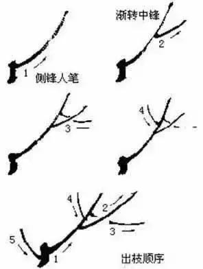 国画初学者入门步骤画梅花（大家一起学学国画梅花的各种画法）(4)