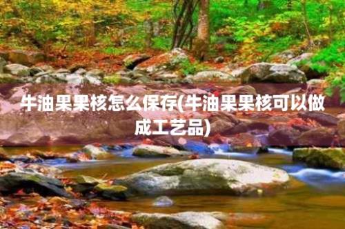 牛油果果核怎么保存(牛油果果核可以做成工艺品)