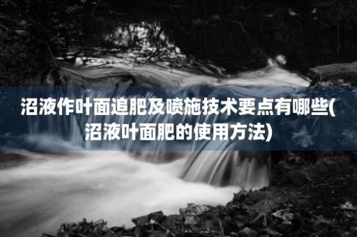 沼液作叶面追肥及喷施技术要点有哪些(沼液叶面肥的使用方法)