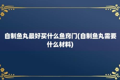 自制鱼丸最好买什么鱼窍门(自制鱼丸需要什么材料)