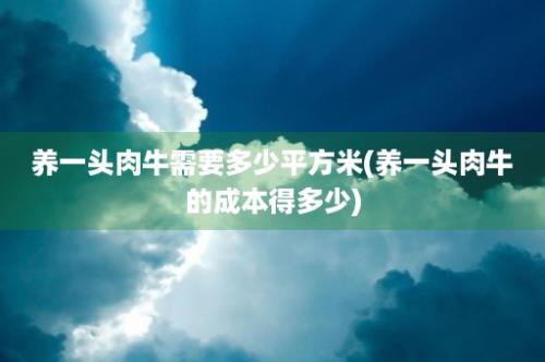 养一头肉牛需要多少平方米(养一头肉牛的成本得多少)