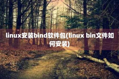 linux安装bind软件包(linux bin文件如何安装)