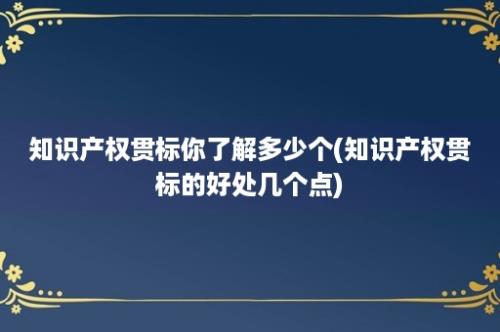 知识产权贯标你了解多少个(知识产权贯标的好处几个点)