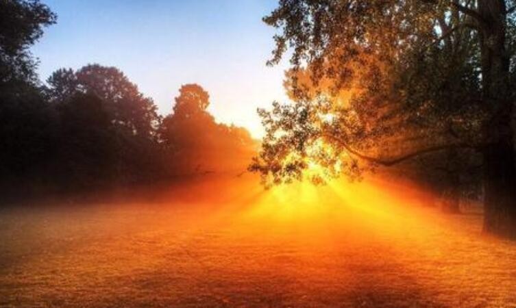 充满阳光的昵称有哪些