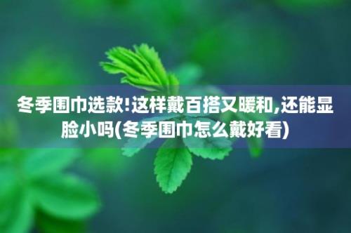 冬季围巾选款!这样戴百搭又暖和,还能显脸小吗(冬季围巾怎么戴好看)