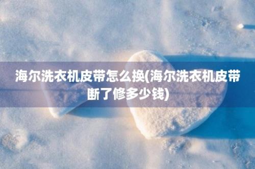 海尔洗衣机皮带怎么换(海尔洗衣机皮带断了修多少钱)