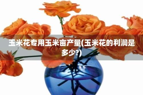 玉米花专用玉米亩产量(玉米花的利润是多少?)