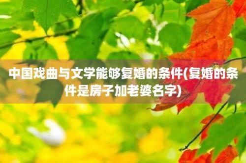 中国戏曲与文学能够复婚的条件(复婚的条件是房子加老婆名字)