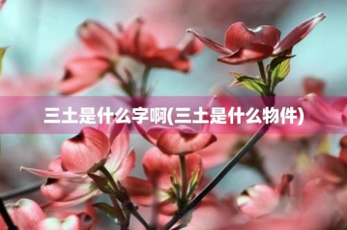 三土是什么字啊(三土是什么物件)