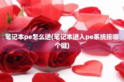 笔记本pe怎么进(笔记本进入pe系统按哪个键)