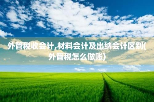 外管税收会计,材料会计及出纳会计区别(外管税怎么做账)