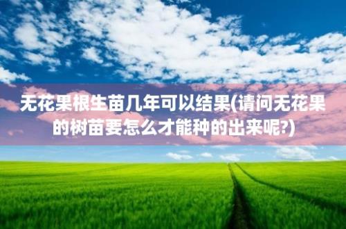 无花果根生苗几年可以结果(请问无花果的树苗要怎么才能种的出来呢?)