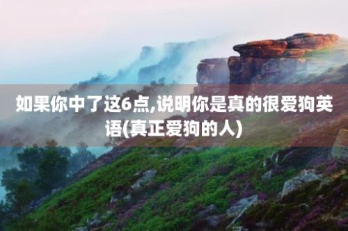 如果你中了这6点,说明你是真的很爱狗英语(真正爱狗的人)