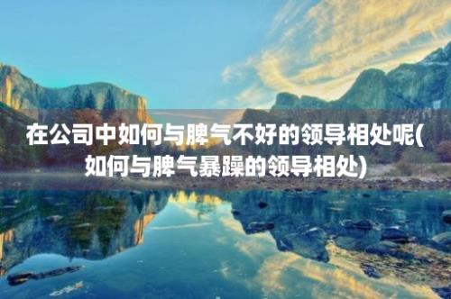 在公司中如何与脾气不好的领导相处呢(如何与脾气暴躁的领导相处)