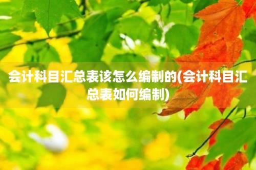 会计科目汇总表该怎么编制的(会计科目汇总表如何编制)