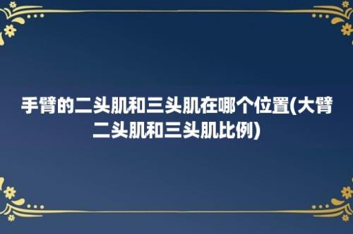 手臂的二头肌和三头肌在哪个位置(大臂二头肌和三头肌比例)