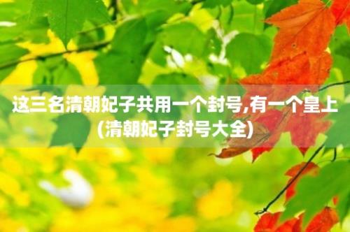 这三名清朝妃子共用一个封号,有一个皇上(清朝妃子封号大全)