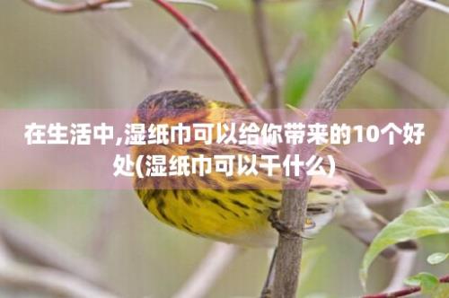 在生活中,湿纸巾可以给你带来的10个好处(湿纸巾可以干什么)