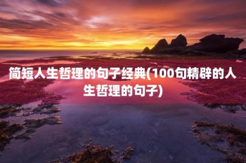 简短人生哲理的句子经典(100句精辟的人生哲理的句子)