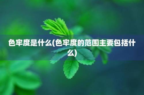 色牢度是什么(色牢度的范围主要包括什么)