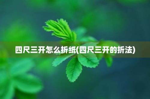 四尺三开怎么折纸(四尺三开的折法)